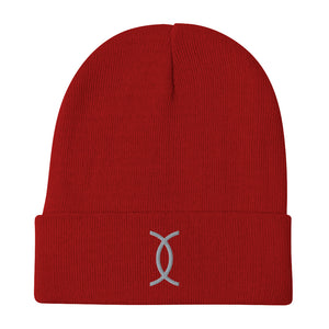 Ujamaa SYM GRY Embroidered Beanie
